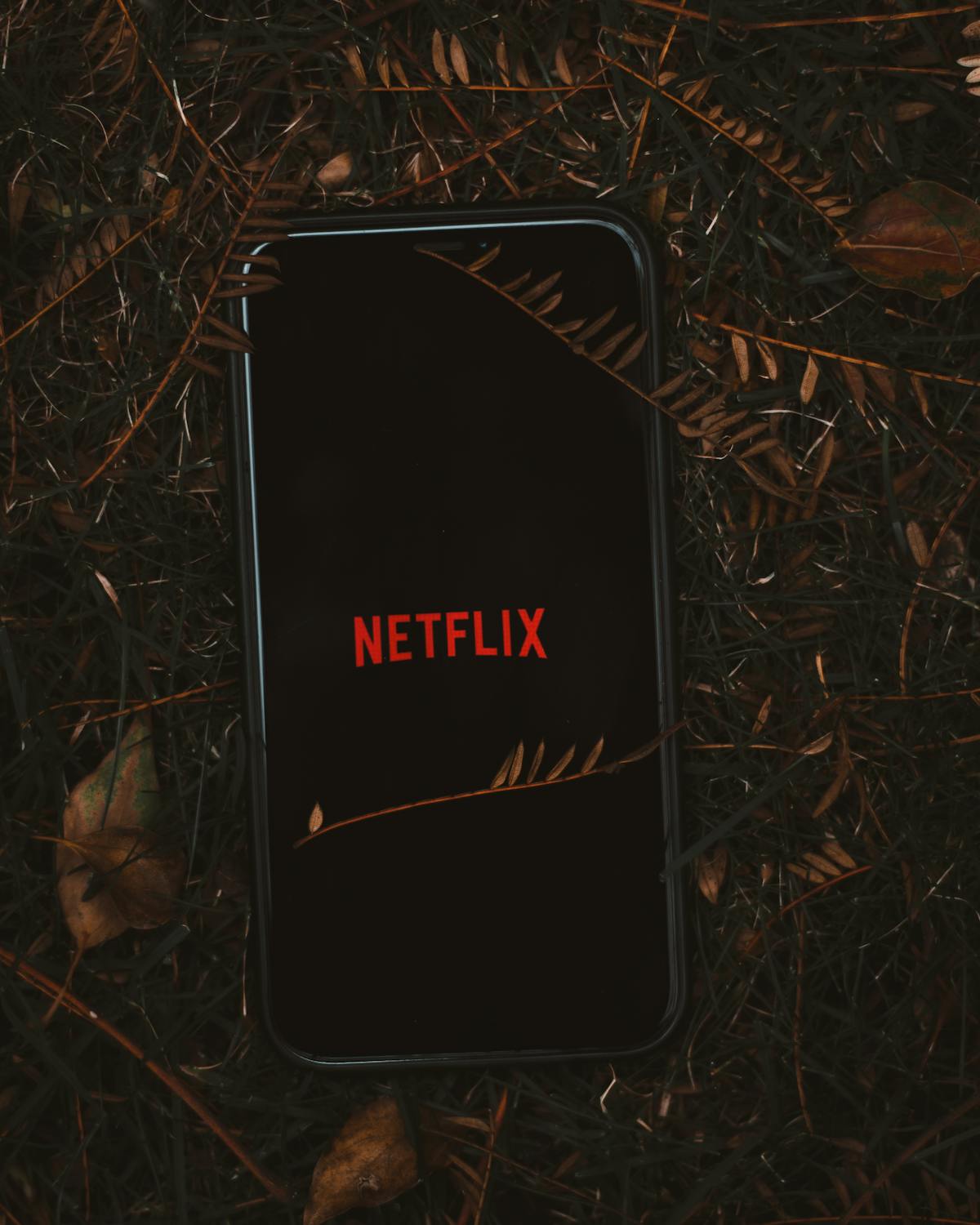 Watch The Boroughs on Netflix UK